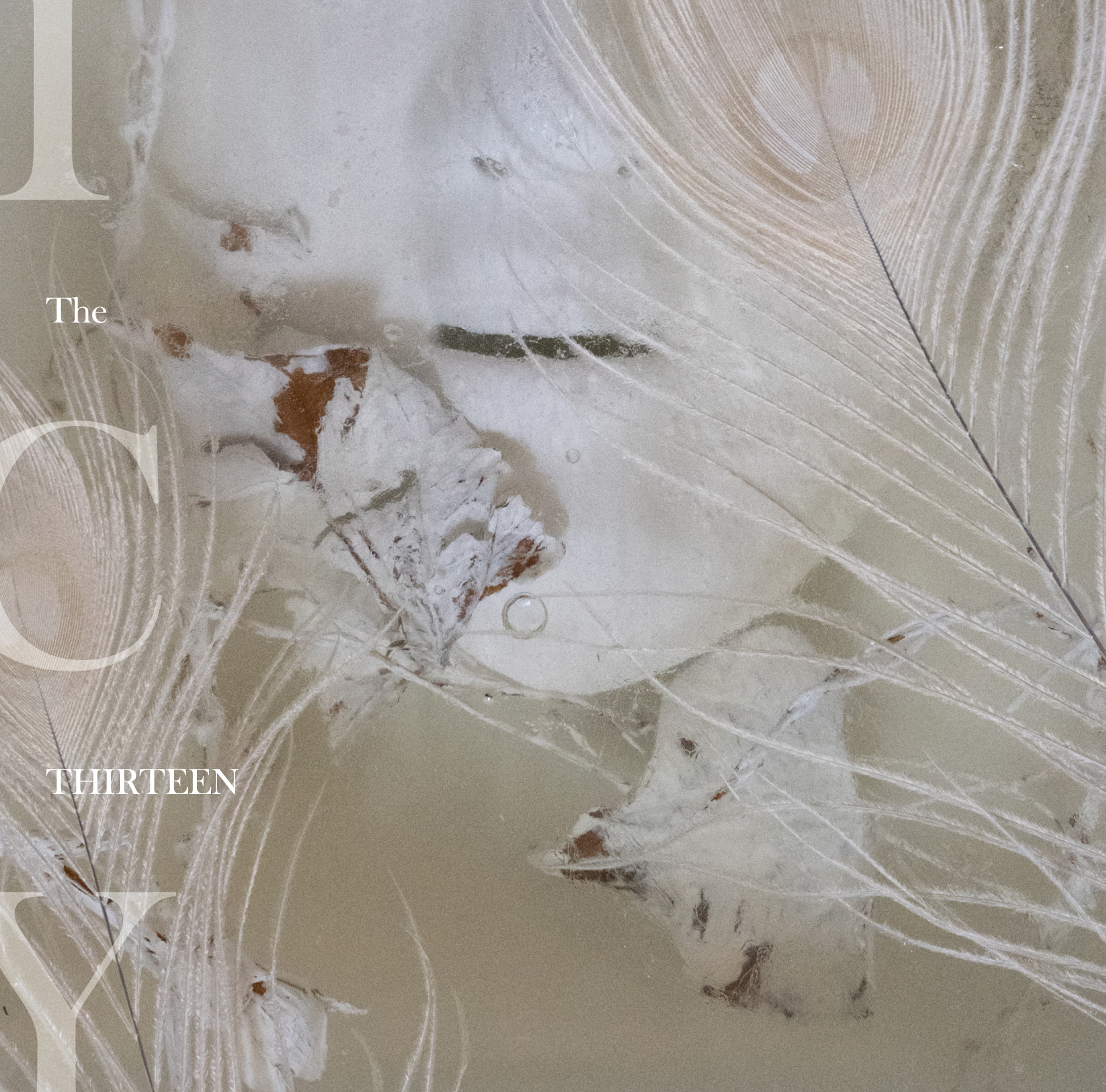 【リリース：2021年3月24日】ＩＣＹの画像