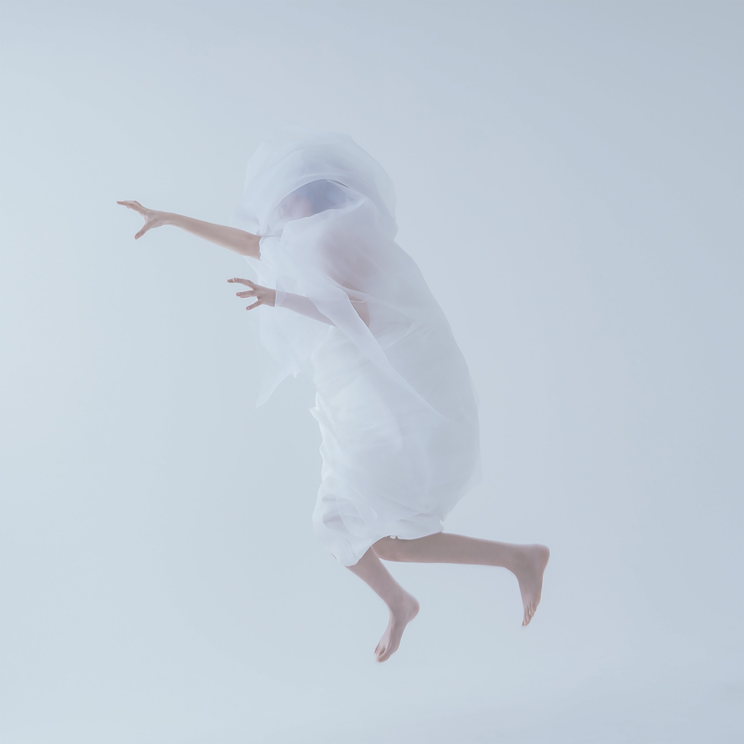 【リリース：2021年10月20日】かいこの画像