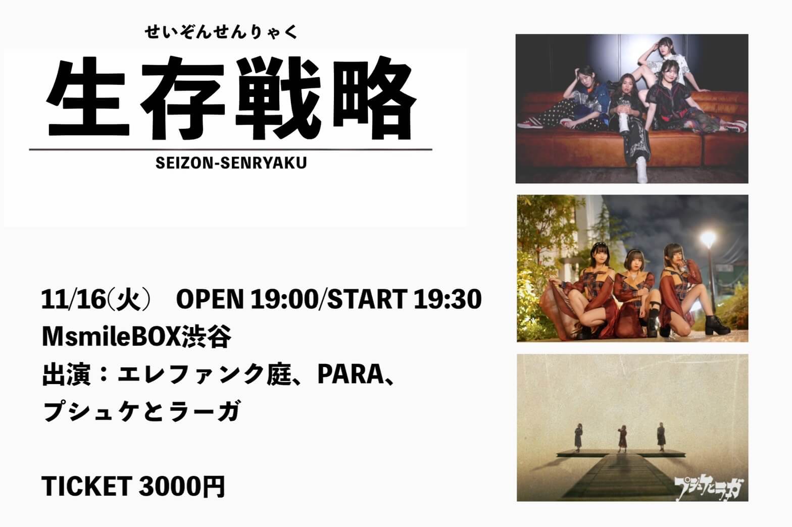 生存戦略 2021.11.16の画像