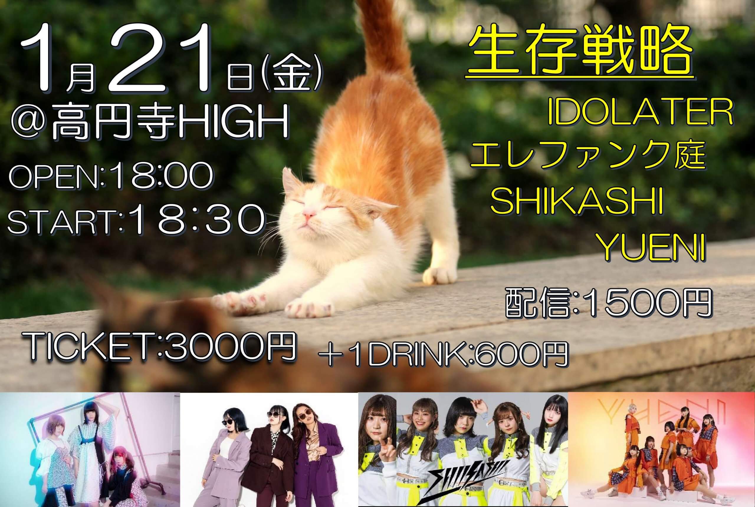 生存戦略 2022.1.21の画像