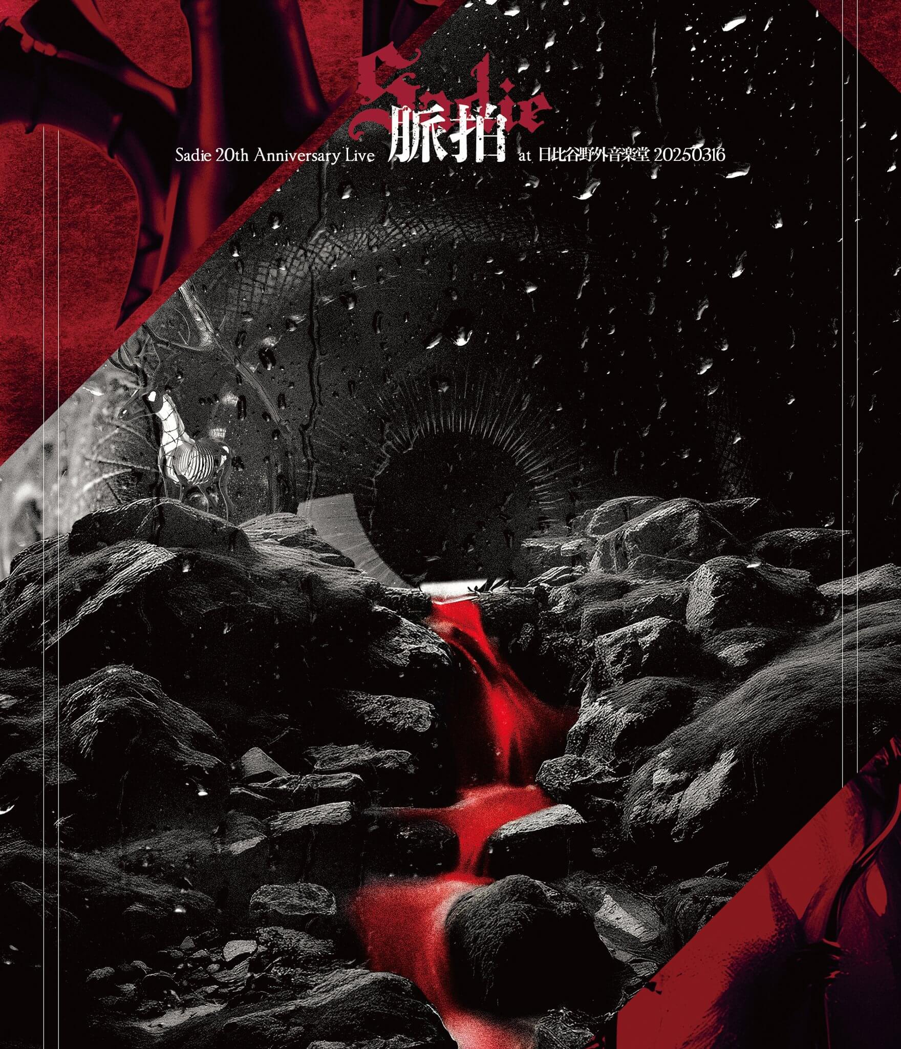Sadie『20th Anniversary Live 「脈拍」at 日比谷野外音楽堂 20250316』Blu-ray発売決定！の画像